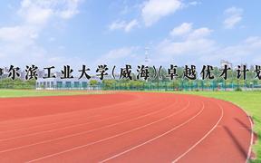 2024哈尔滨工业大学(威海)(卓越优才计划)录取分数线及位次一览：河南考生2025填报参考