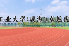 2024哈尔滨工业大学(威海)(卓越优才计划)录取分数线及位次一览：河南考生2025填报参考