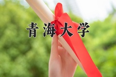 2024青海大学录取分数线及位次一览：河南考生2025填报参考
