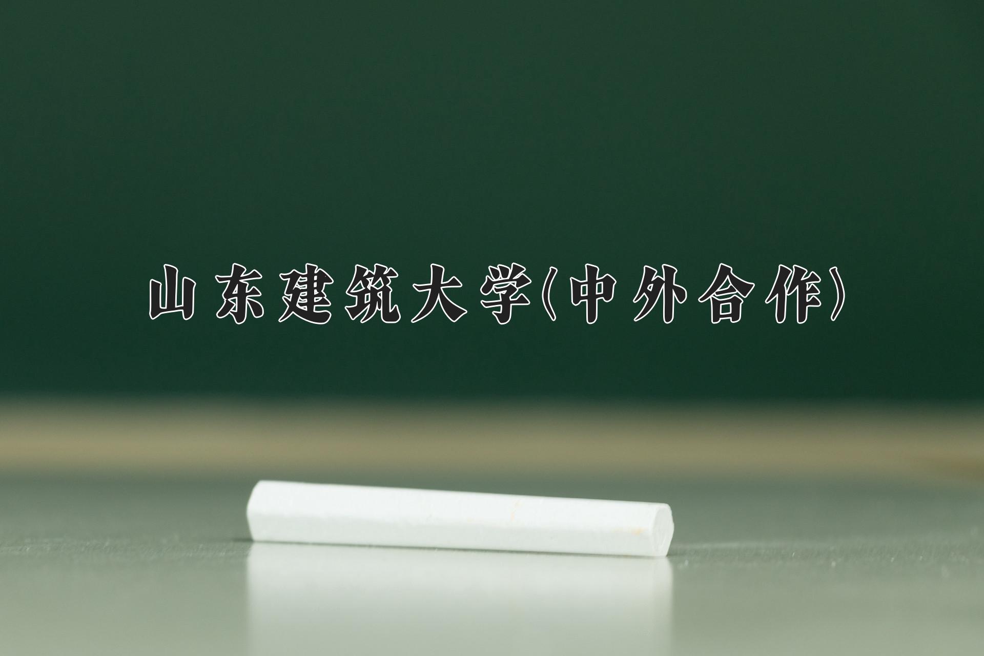 山东建筑大学(中外合作)