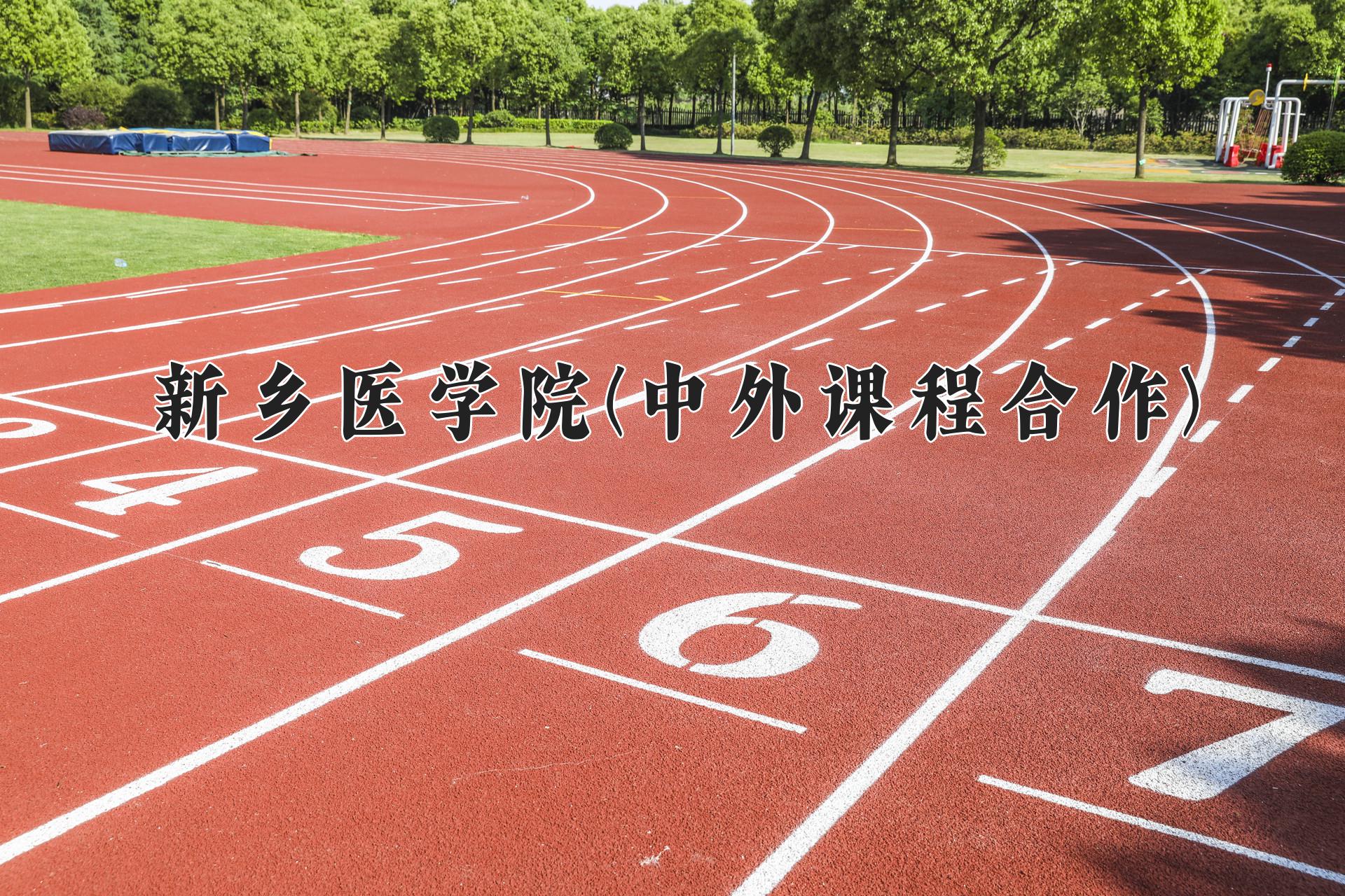 新乡医学院(中外课程合作)