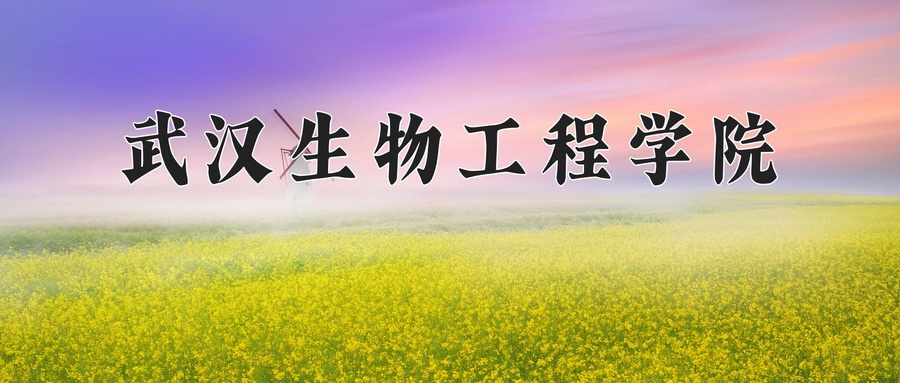 2024年武汉生物工程学院在内蒙古计划招生人数（附学费及专业录取分)