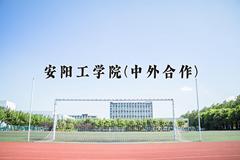 2024安阳工学院(中外合作)录取分数线及位次一览：河南考生2025填报参考