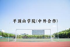 2024平顶山学院(中外合作)录取分数线及位次一览：河南考生2025填报参考