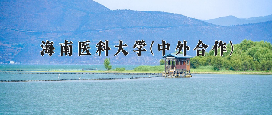 海南医科大学(中外合作)
