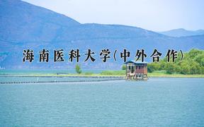 2024海南医科大学(中外合作)录取分数线及位次一览：河南考生2025填报参考