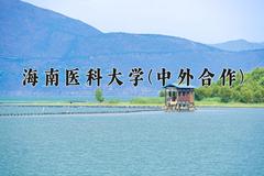 2024海南医科大学(中外合作)录取分数线及位次一览：河南考生2025填报参考