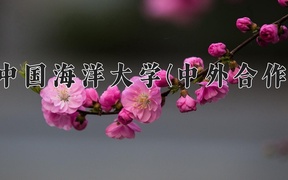 2024中国海洋大学(中外合作)录取分数线及位次一览：河南考生2025填报参考