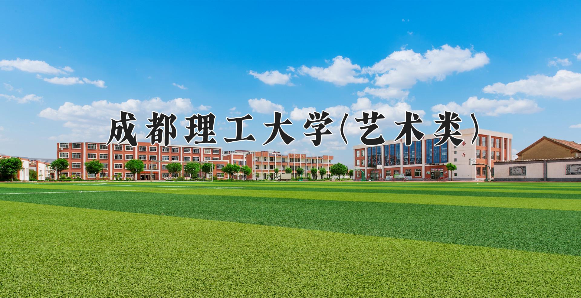 成都理工大学(艺术类)