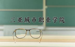 三亚城市职业学院近三年录取分数线及位次：江苏2021-2023最低分