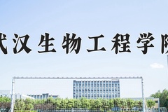 2024武汉生物工程学院录取分数线及位次一览：河南考生2025填报参考