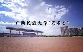 2024广西民族大学(艺术类)录取分数线及位次一览：河南考生2025填报参考