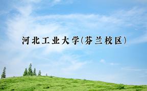 2024河北工业大学(芬兰校区)录取分数线及位次一览：河南考生2025填报参考