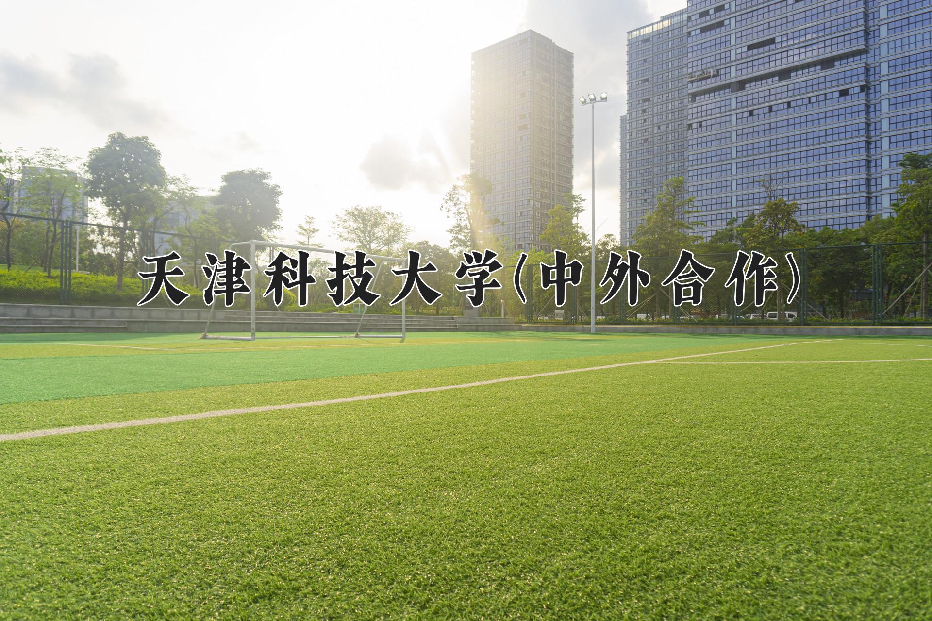 天津科技大学(中外合作)