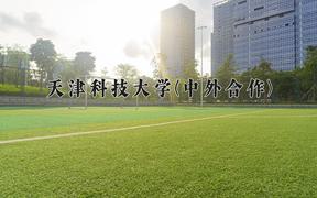 2024天津科技大学(中外合作)录取分数线及位次一览：河南考生2025填报参考