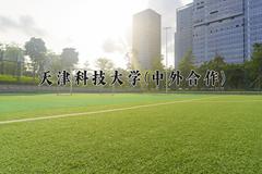 2024天津科技大学(中外合作)录取分数线及位次一览：河南考生2025填报参考