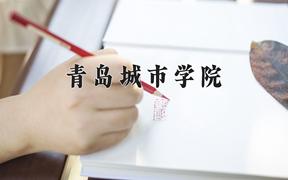 2024青岛城市学院录取分数线及位次一览：河南考生2025填报参考