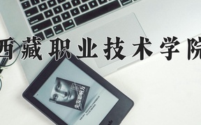 西藏职业技术学院近三年录取分数线及位次：江苏2021-2023最低分