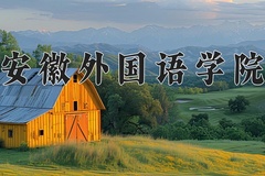 2024安徽外国语学院录取分数线及位次一览：河南考生2025填报参考