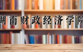 2024湖南财政经济学院录取分数线及位次一览：河南考生2025填报参考