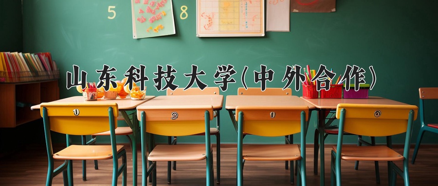 山东科技大学(中外合作)