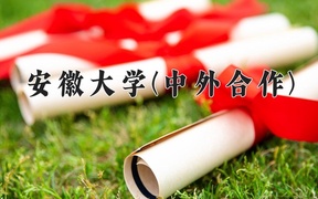 2024安徽大学(中外合作)录取分数线及位次一览：河南考生2025填报参考