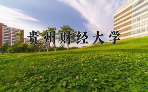 2024贵州财经大学录取分数线及位次一览：河南考生2025填报参考