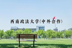 2024西南政法大学(中外合作)录取分数线及位次一览：河南考生2025填报参考