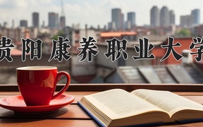 2024贵阳康养职业大学录取分数线及位次一览：河南考生2025填报参考