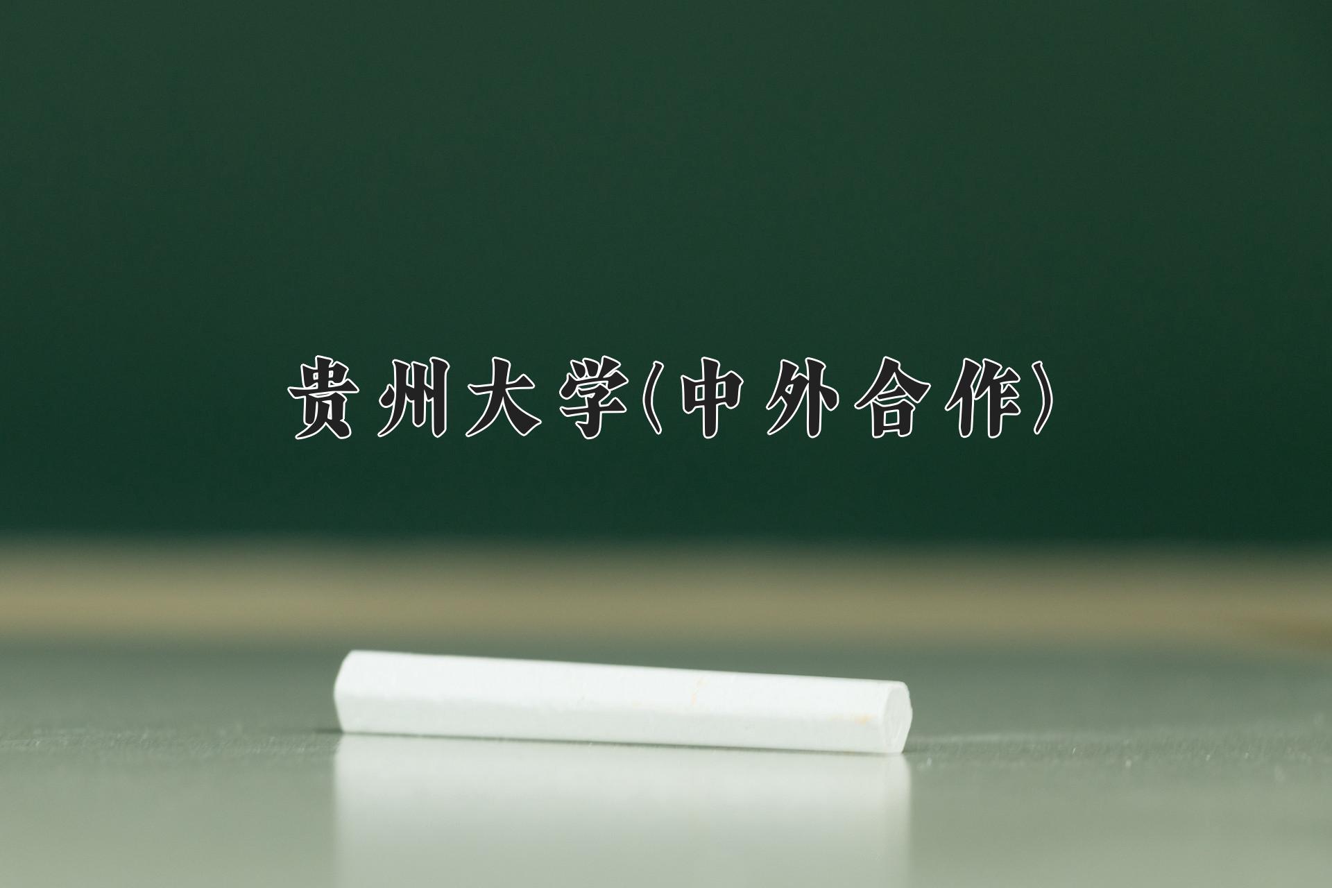 2024年贵州大学(中外合作)在内蒙古计划招生人数（附学费及专业录取分)