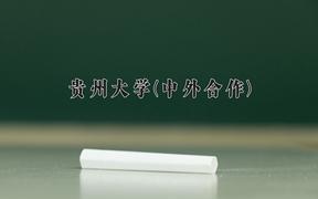 2024年贵州大学(中外合作)在内蒙古计划招生人数（附学费及专业录取分)