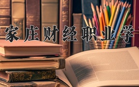 2024年石家庄财经职业学院在内蒙古计划招生人数（附学费及专业录取分)