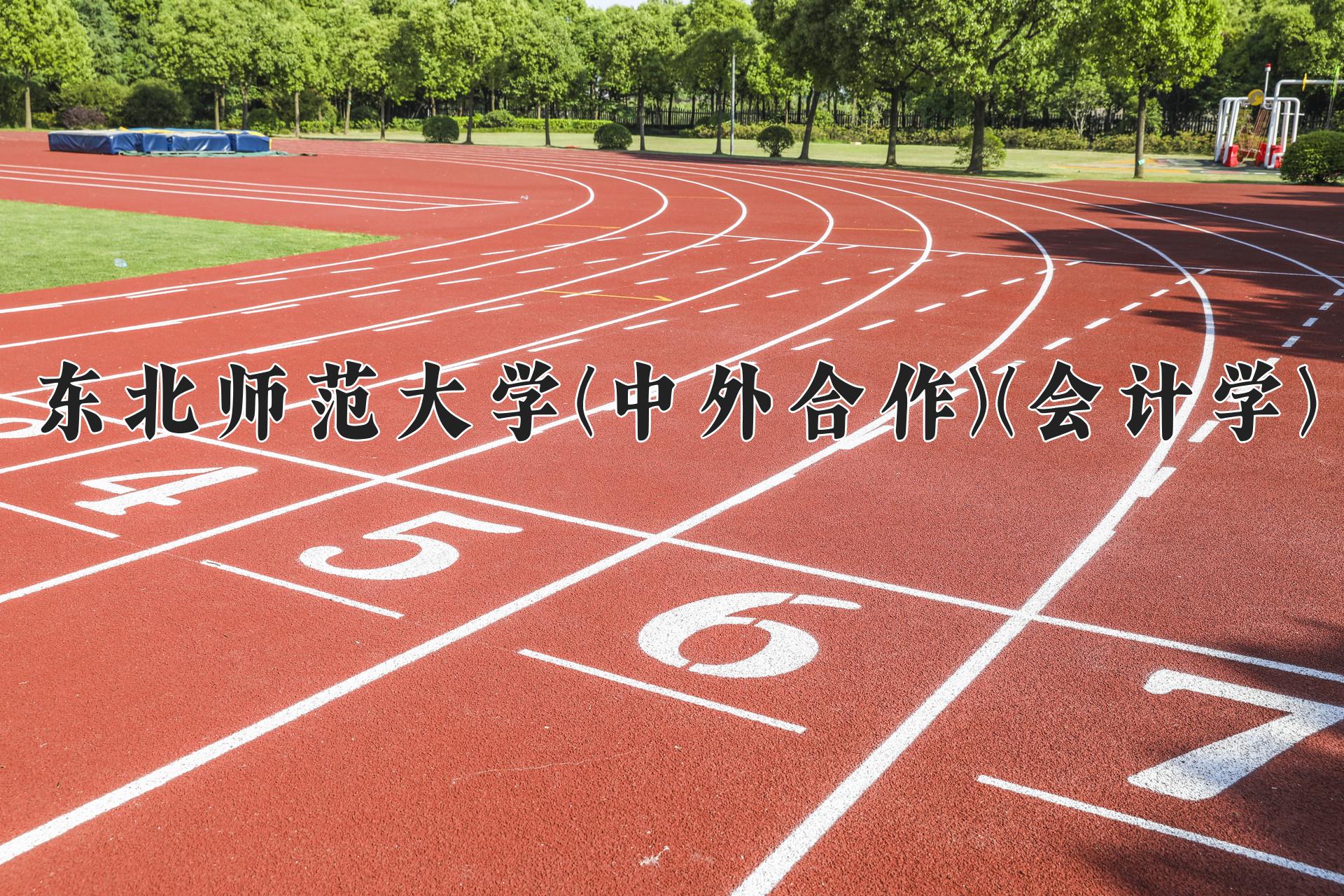 东北师范大学(中外合作)(会计学)