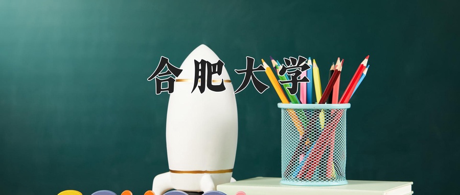 合肥大学