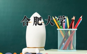 2024合肥大学录取分数线及位次一览：河南考生2025填报参考