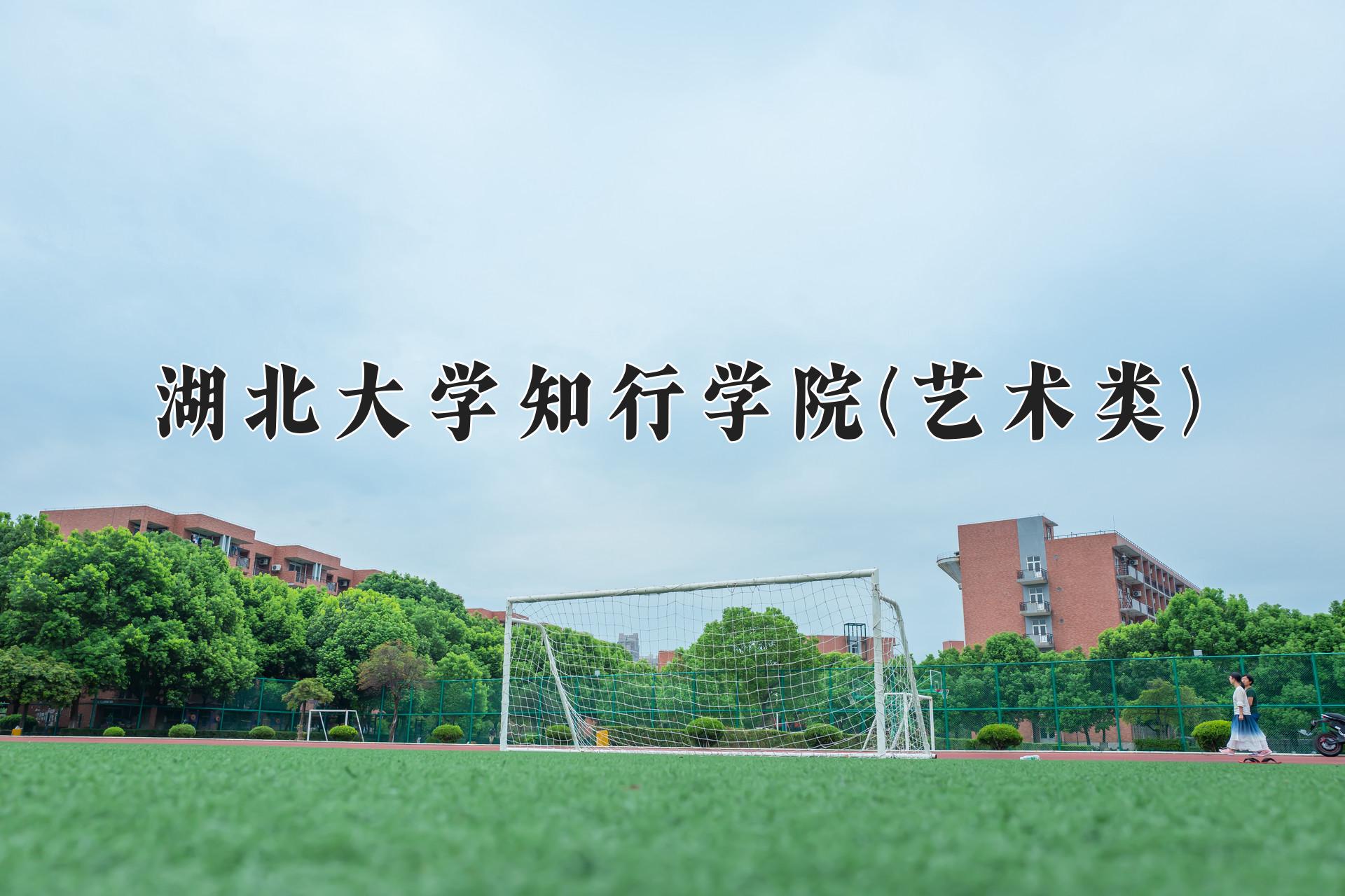 湖北大学知行学院(艺术类)