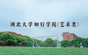 2024湖北大学知行学院(艺术类)录取分数线及位次一览：河南考生2025填报参考