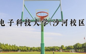 2024电子科技大学(沙河校区)录取分数线及位次一览：河南考生2025填报参考