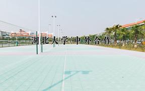 2024湖北大学(中外合作)录取分数线及位次一览：河南考生2025填报参考