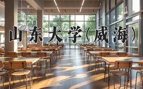 山东大学(威海)近三年录取分数线及位次：江苏2021-2023最低分