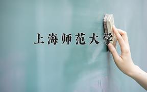 重庆考生多少分能上上海师范大学？2025最低542分