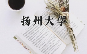 重庆考生多少分能上扬州大学？2025最低551分