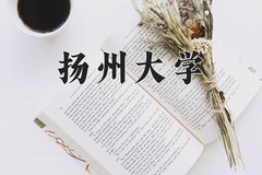 重庆考生多少分能上扬州大学？2025最低551分