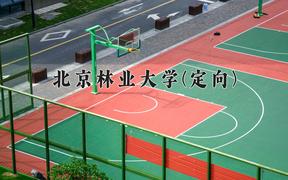 重庆考生多少分能上北京林业大学(定向)？2025最低568分