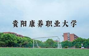 重庆考生多少分能上贵阳康养职业大学？2025最低498分