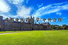 重庆考生多少分能上成都中医药大学(中外合作)？2025最低516分