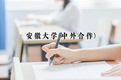 重庆考生多少分能上安徽大学(中外合作)？2025最低555分