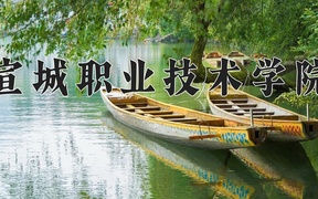 重庆考生多少分能上宣城职业技术学院？2025最低349分
