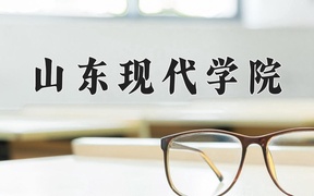 重庆考生多少分能上山东现代学院？2025最低427分