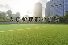 重庆考生多少分能上大理护理职业学院？2025最低363分